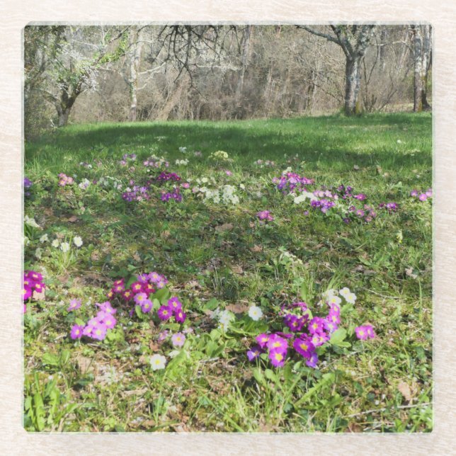 Posavasos De Vidrio Hinchera de la primavera (Anverso)
