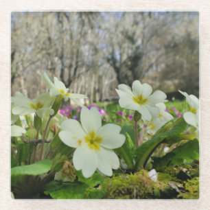Posavasos De Vidrio Hinchera de la primavera
