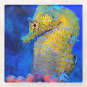Posavasos De Vidrio Hipocampo brillante del Seahorse el