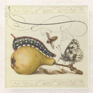 Posavasos De Vidrio Hoefnagel Vintage Pera & Insectos 1500s Renacimien