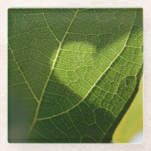 Posavasos de Vidrio Hoja Corazón Luz Solar