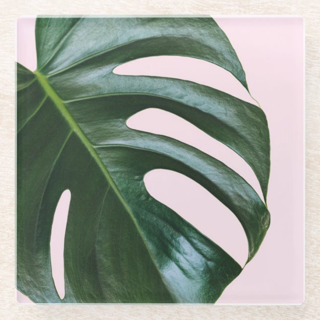 Posavasos De Vidrio Hoja tropical de Monstera (Anverso)