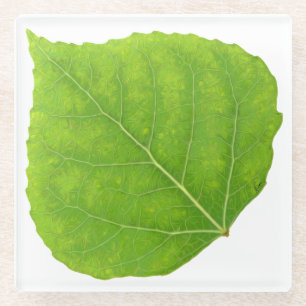 Posavasos De Vidrio Hoja verde de lápiz #11