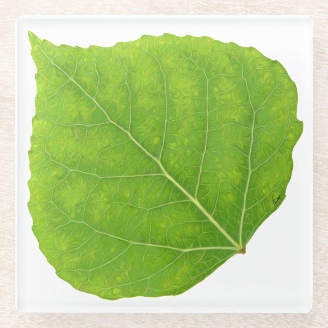 Posavasos De Vidrio Hoja verde de lápiz #11 (Anverso)