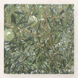 Posavasos De Vidrio Hojas de árbol de oliva
