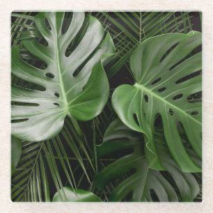 Posavasos De Vidrio Hojas de Monstera, diseño tropical de lujo.