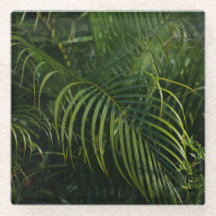 Hojas Tropicales, Botánica verde oscuro