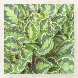 Posavasos De Vidrio Hojas verdes