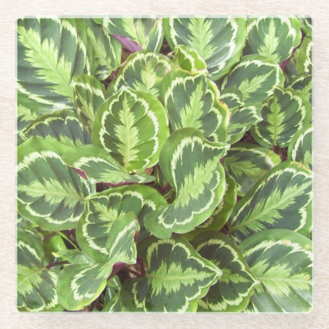 Posavasos De Vidrio Hojas verdes (Anverso)