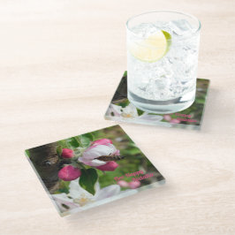 Posavasos De Vidrio Honeybee & Apple Blossom | Fine Art Glass Coasters