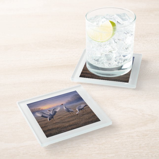 Posavasos De Vidrio Hooded Cranes in Winter -  (Angular)