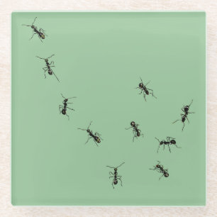 Posavasos De Vidrio Hormigas