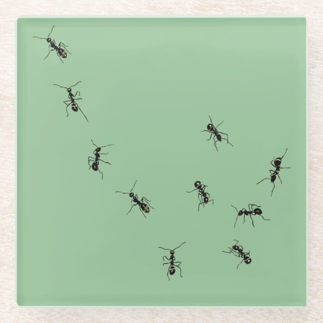 Posavasos De Vidrio Hormigas (Anverso)
