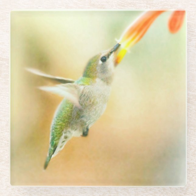 Posavasos De Vidrio Hummingbird en la luz de la madrugada (Anverso)