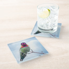 Posavasos De Vidrio Hummingbird - Hummingbird de Anna rota