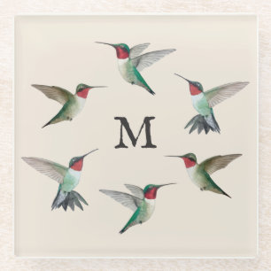 Posavasos De Vidrio Hummingbirds trombado por goma