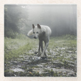 Posavasos De Vidrio Husky Siberiano Blanco