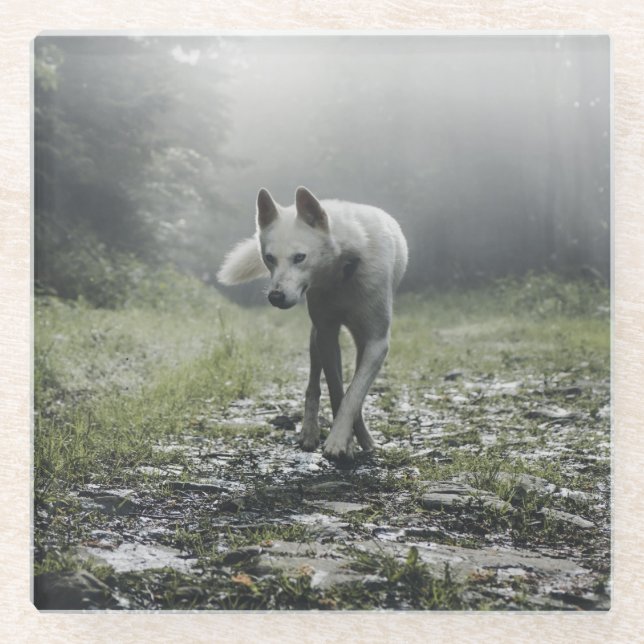 Posavasos De Vidrio Husky Siberiano Blanco (Anverso)