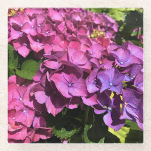 Posavasos De Vidrio Hydrangeas