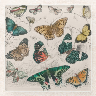 Posavasos De Vidrio Ilustración antigua de mariposa: Orfebre de 1820