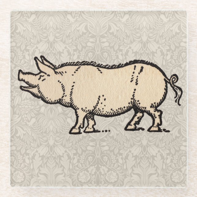 Posavasos De Vidrio Ilustracion de época de cerda de cerdo (Anverso)