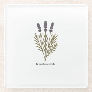 Posavasos De Vidrio Ilustracion de flores de lavanda de época