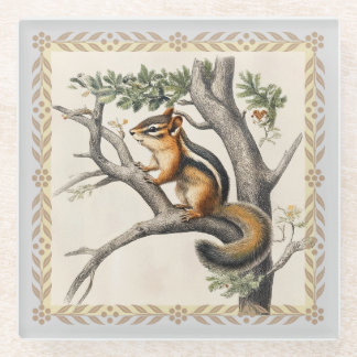 Posavasos De Vidrio Ilustracion de la cosecha de chipmunk