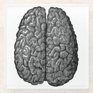 Posavasos De Vidrio Ilustracion del vintage del cerebro humano