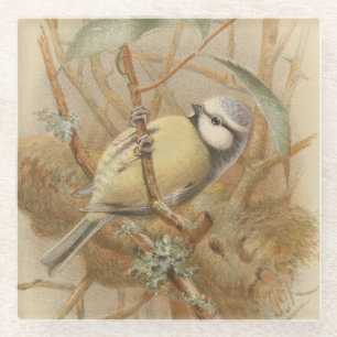 Posavasos De Vidrio Ilustración vintage de herrerillo