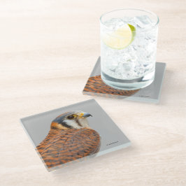 Posavasos De Vidrio Impresionante Cernícalo De Cernícalo De Sparrowhaw