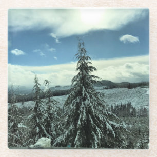 Posavasos De Vidrio Invierno en el bosque estatal de Tillamook, Oregón