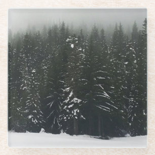 Posavasos De Vidrio Invierno en la Selva de Montaña