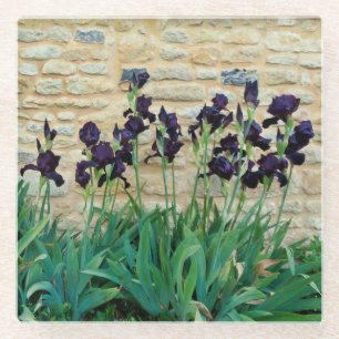 Posavasos De Vidrio Iris con barba