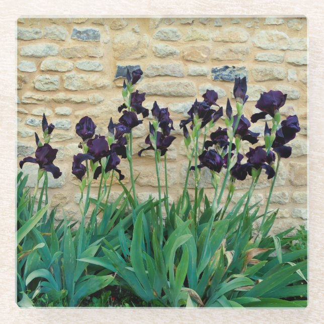 Posavasos De Vidrio Iris con barba (Anverso)