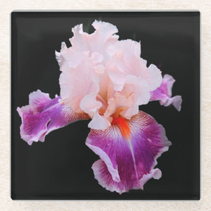 Posavasos De Vidrio Iris morado y rosa