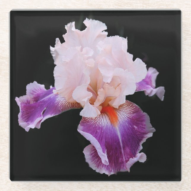 Posavasos De Vidrio Iris morado y rosa (Anverso)