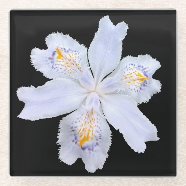 Posavasos De Vidrio Iris White (Anverso)