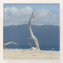 Posavasos De Vidrio Islas Frankland - Australia Vidrio Posavasos