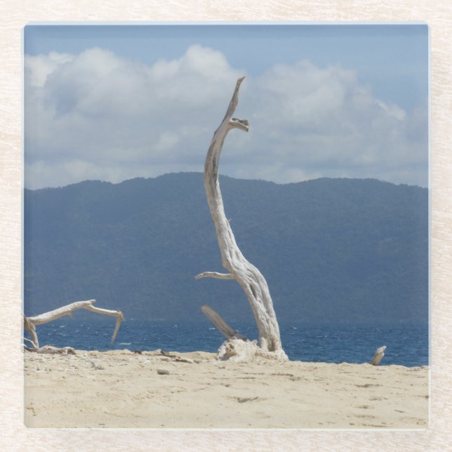 Posavasos De Vidrio Islas Frankland - Monasterio de Vidrio de Australi (Anverso)