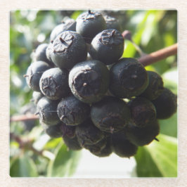 Posavasos De Vidrio Ivy Berries Glass Coaster