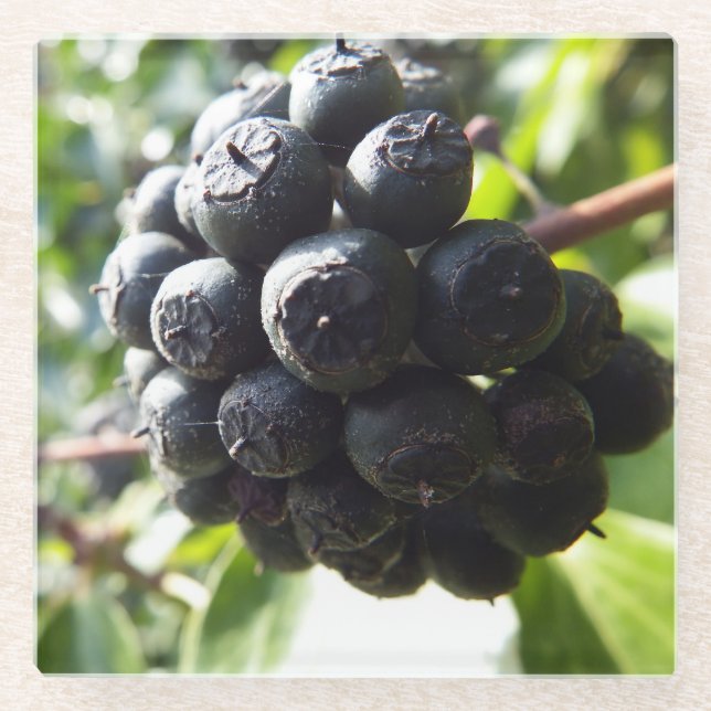 Posavasos De Vidrio Ivy Berries Glass Coaster (Anverso)