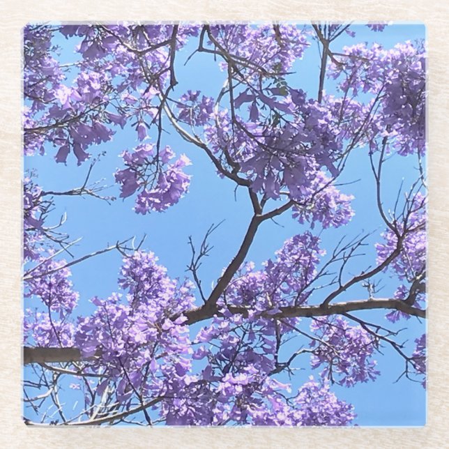 Posavasos De Vidrio Jacaranda Blossoms (Anverso)