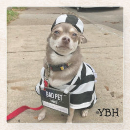 Posavasos De Vidrio Jail Bird Huey