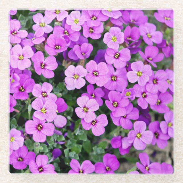 Posavasos De Vidrio Jardín de flores moradas (Anverso)