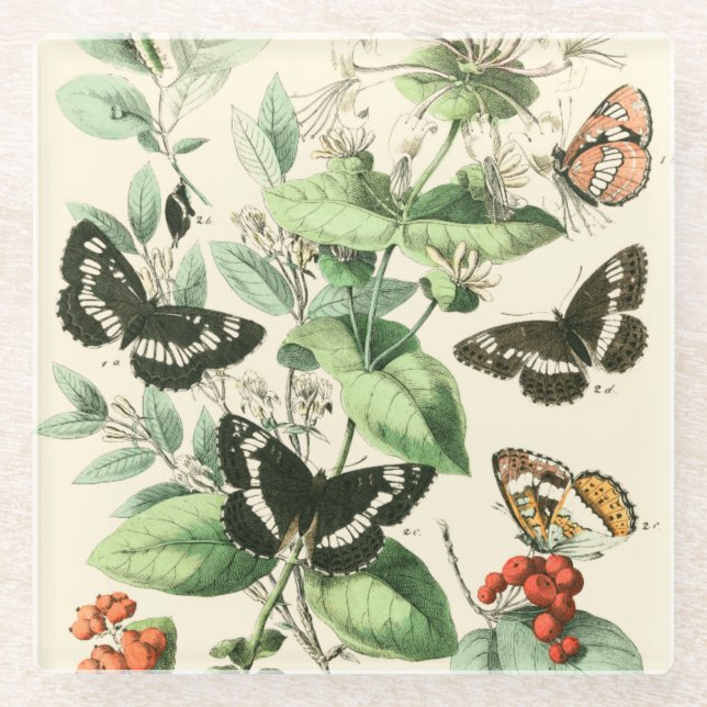 Posavasos De Vidrio Jardín de mariposas y flores (Anverso)