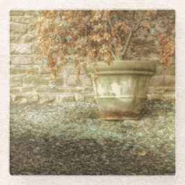 Posavasos De Vidrio Jardín de otoño rústico