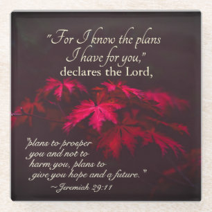 Posavasos De Vidrio Jeremías 29:11 Porque conozco los planes que tengo