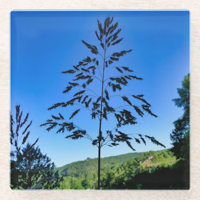 Posavasos De Vidrio Johnson Grass (Anverso)