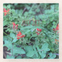 POSAVASOS DE VIDRIO JOLLY JULY