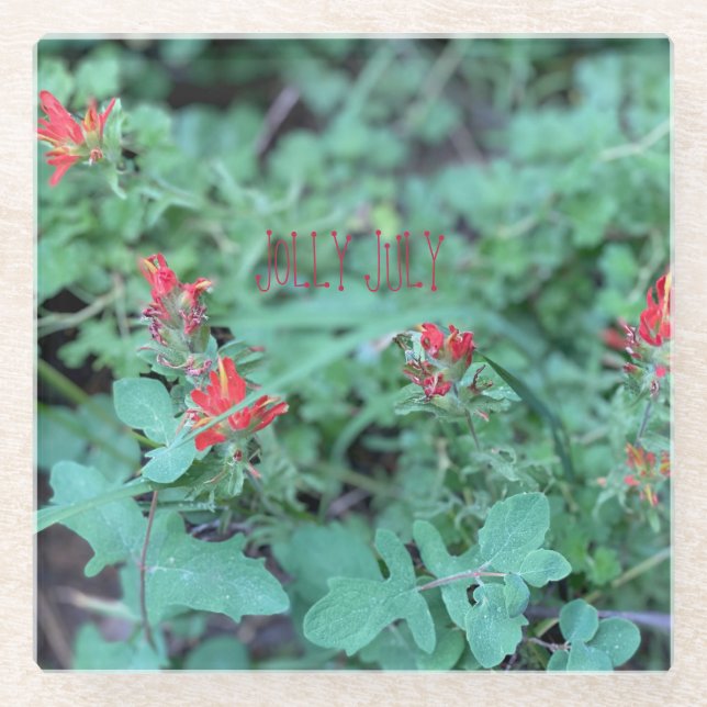 POSAVASOS DE VIDRIO JOLLY JULY (Anverso)